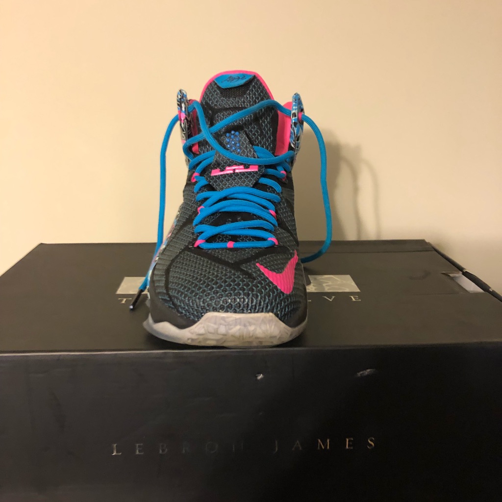 Lebron12